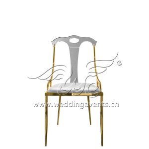 Acrylic back chair