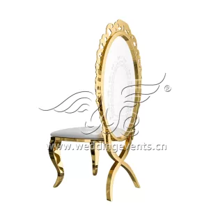 Luxury Acrylic Back Chair