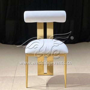 Elegant Event Chairs